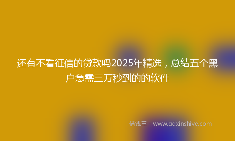 还有不看征信的贷款吗2025年精选，总结五个黑户急需三万秒到的的软件