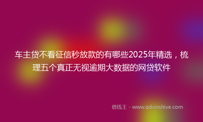 车主贷不看征信秒放款的有哪些2025年精选，梳理五个真正无视逾期大数据的网贷软件