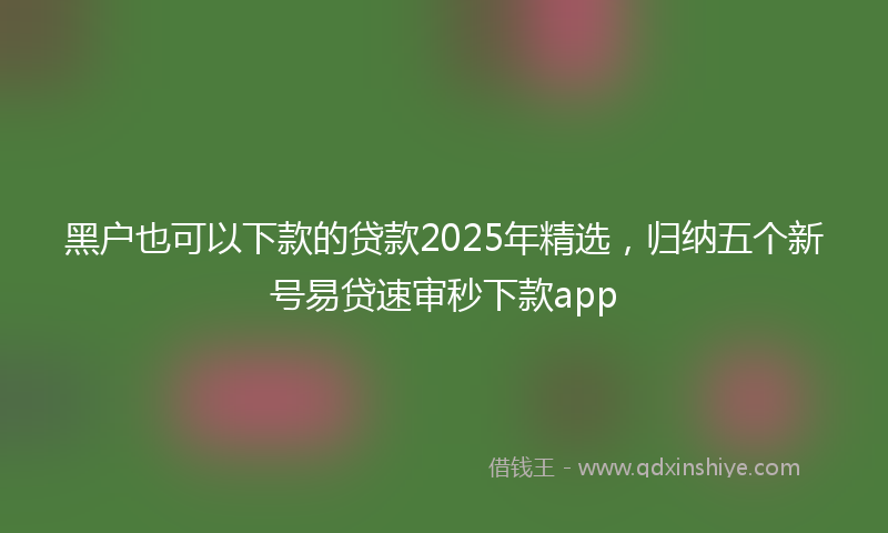 黑户也可以下款的贷款2025年精选，归纳五个新号易贷速审秒下款app