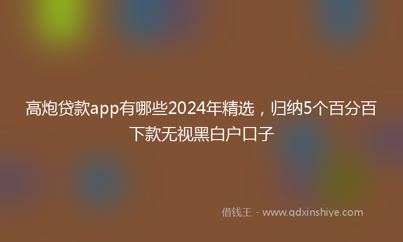 高炮贷款app有哪些2024年精选，归纳5个百分百下款无视黑白户口子