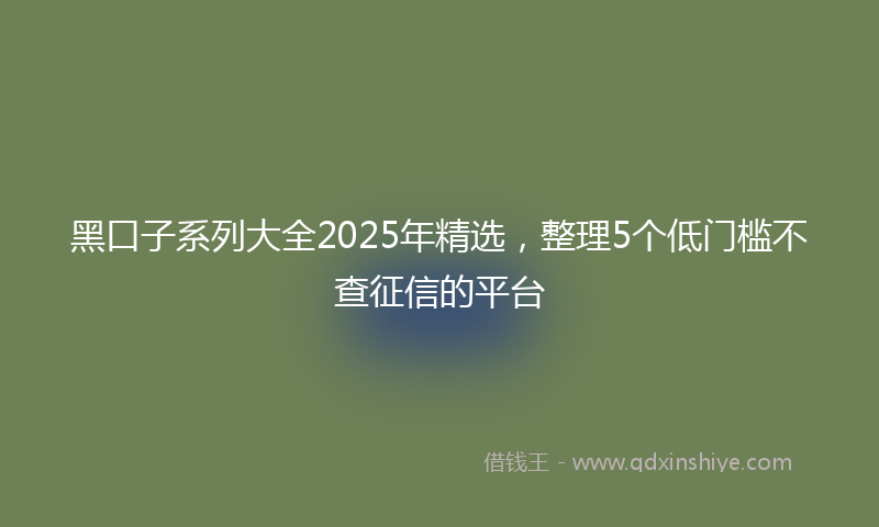 黑口子系列大全2025年精选，整理5个低门槛不查征信的平台