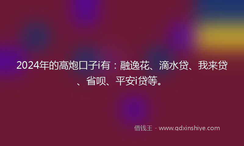 2024年的高炮口子i有：融逸花、滴水贷、我来贷、省呗、平安i贷等。