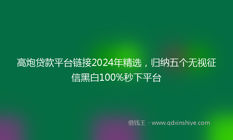 高炮贷款平台链接2024年精选，归纳五个无视征信黑白100%秒下平台
