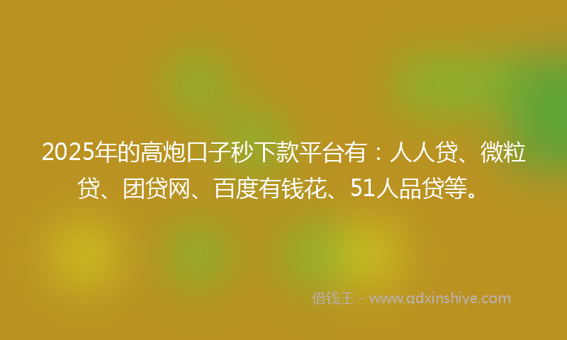 2025年的高炮口子秒下款平台有：人人贷、微粒贷、团贷网、百度有钱花、51人品贷等。