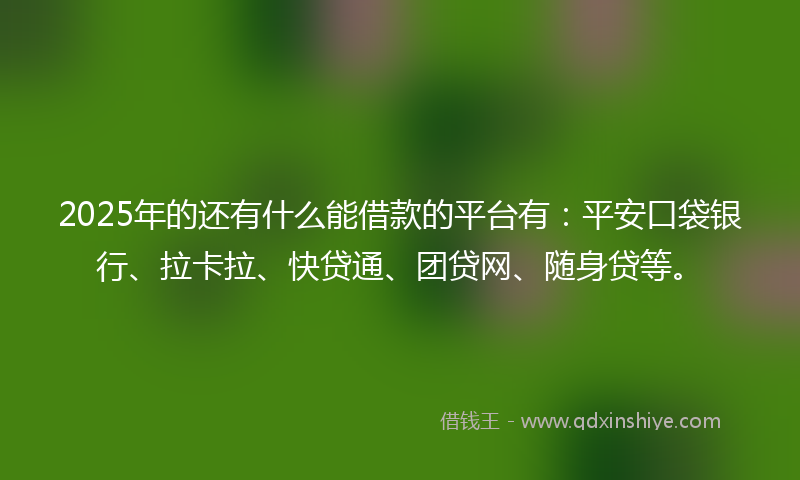 2025年的还有什么能借款的平台有：平安口袋银行、拉卡拉、快贷通、团贷网、随身贷等。