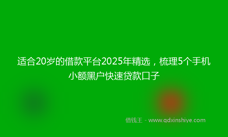适合20岁的借款平台2025年精选，梳理5个手机小额黑户快速贷款口子