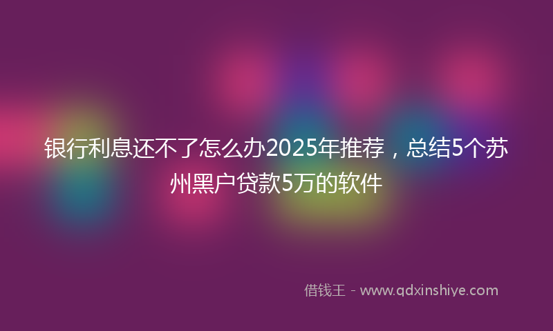 银行利息还不了怎么办2025年推荐，总结5个苏州黑户贷款5万的软件