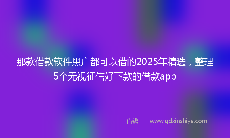 那款借款软件黑户都可以借的2025年精选，整理5个无视征信好下款的借款app