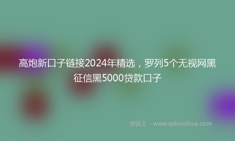 高炮新口子链接2024年精选，罗列5个无视网黑征信黑5000贷款口子