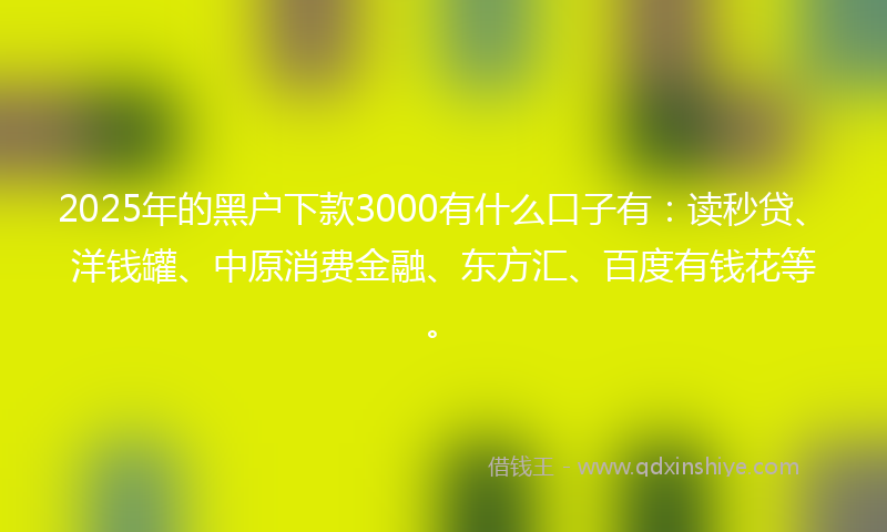 2025年的黑户下款3000有什么口子有：读秒贷、洋钱罐、中原消费金融、东方汇、百度有钱花等。