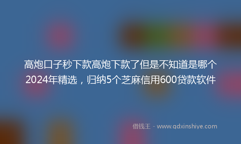 高炮口子秒下款高炮下款了但是不知道是哪个2024年精选，归纳5个芝麻信用600贷款软件