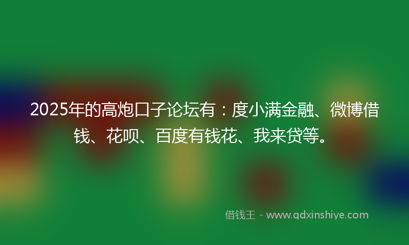 2025年的高炮口子论坛有：度小满金融、微博借钱、花呗、百度有钱花、我来贷等。