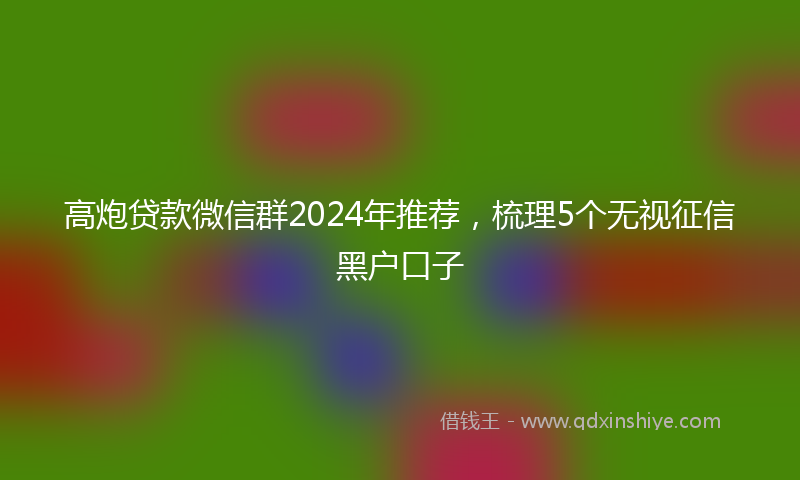 高炮贷款微信群2024年推荐，梳理5个无视征信黑户口子