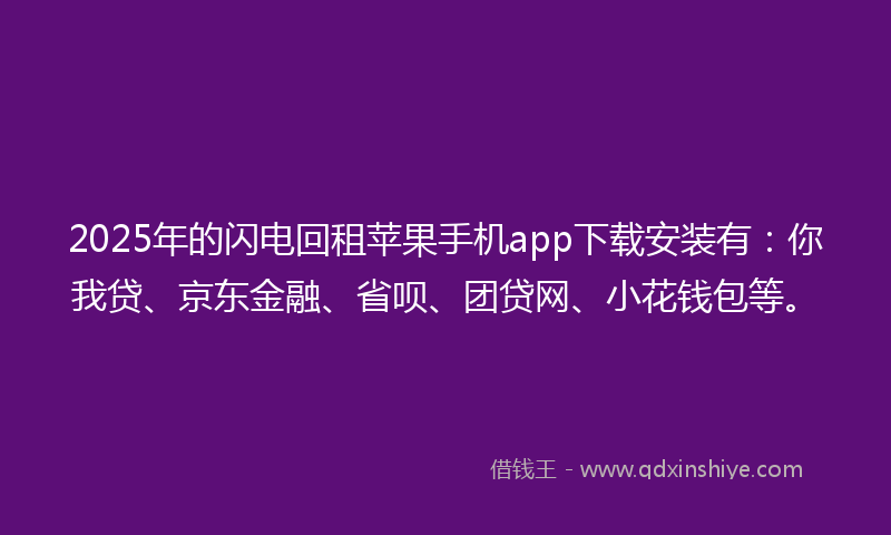 2025年的闪电回租苹果手机app下载安装有：你我贷、京东金融、省呗、团贷网、小花钱包等。
