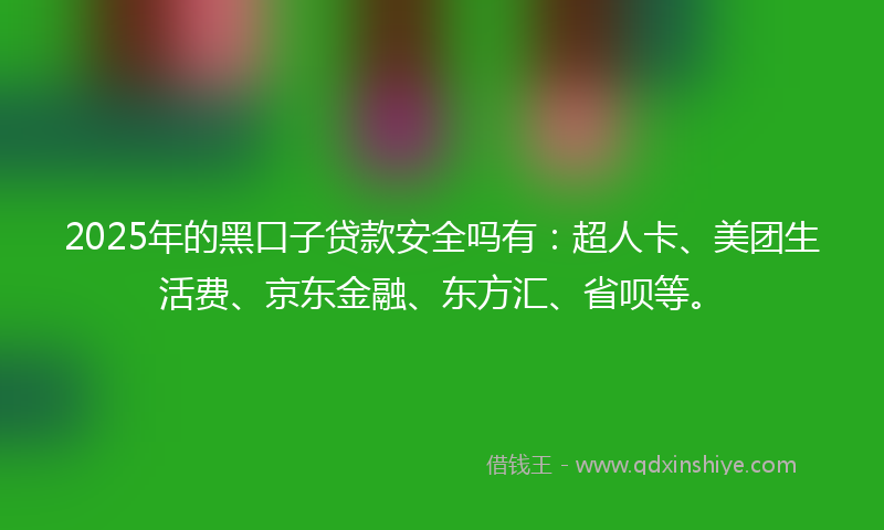 2025年的黑口子贷款安全吗有：超人卡、美团生活费、京东金融、东方汇、省呗等。
