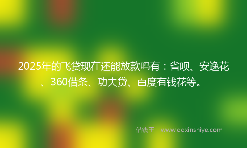 2025年的飞贷现在还能放款吗有：省呗、安逸花、360借条、功夫贷、百度有钱花等。