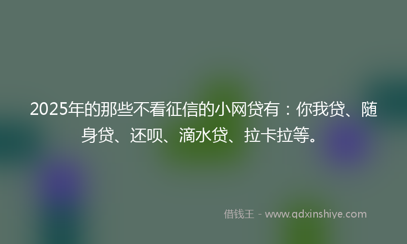 2025年的那些不看征信的小网贷有：你我贷、随身贷、还呗、滴水贷、拉卡拉等。
