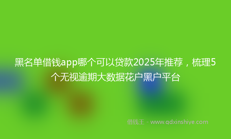 黑名单借钱app哪个可以贷款2025年推荐，梳理5个无视逾期大数据花户黑户平台