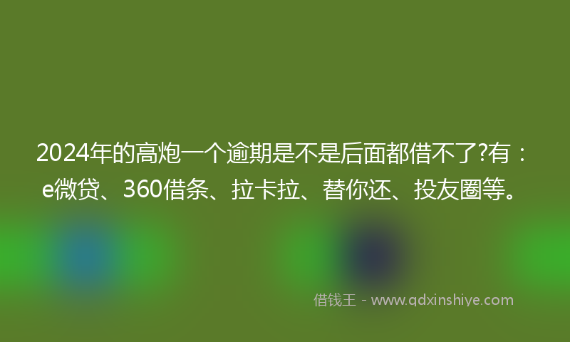 2024年的高炮一个逾期是不是后面都借不了?有：e微贷、360借条、拉卡拉、替你还、投友圈等。