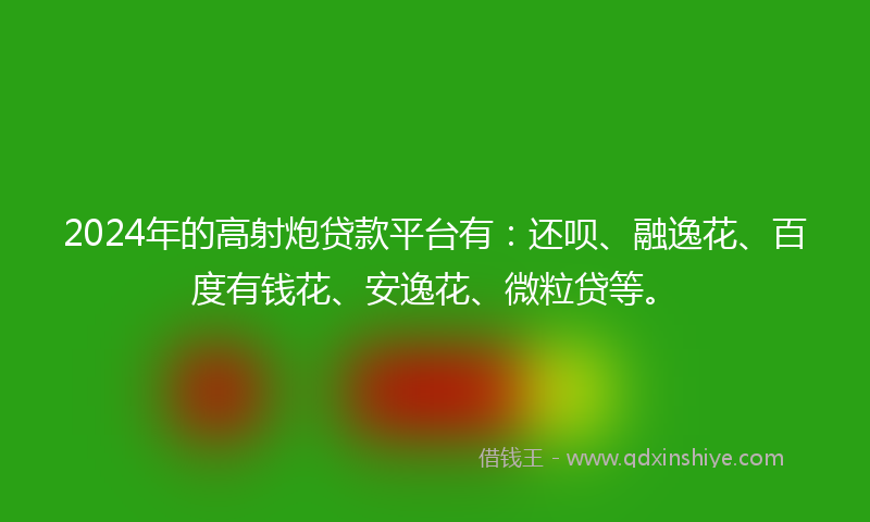 2024年的高射炮贷款平台有：还呗、融逸花、百度有钱花、安逸花、微粒贷等。