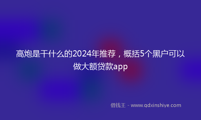 高炮是干什么的2024年推荐，概括5个黑户可以做大额贷款app