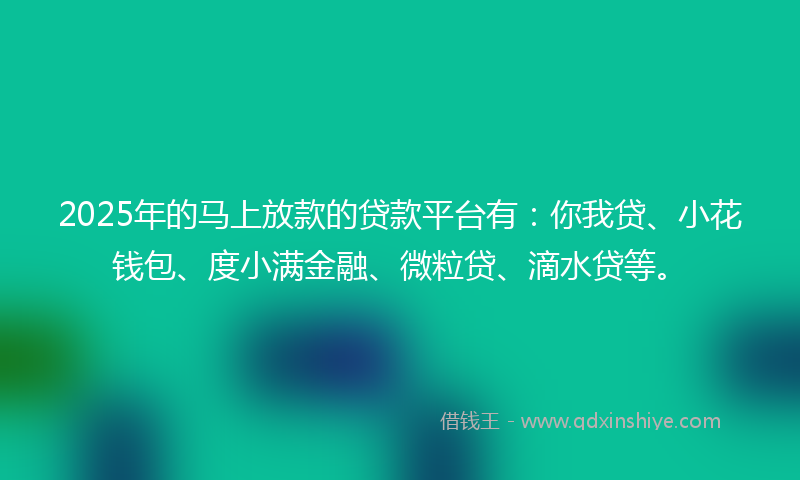 2025年的马上放款的贷款平台有：你我贷、小花钱包、度小满金融、微粒贷、滴水贷等。