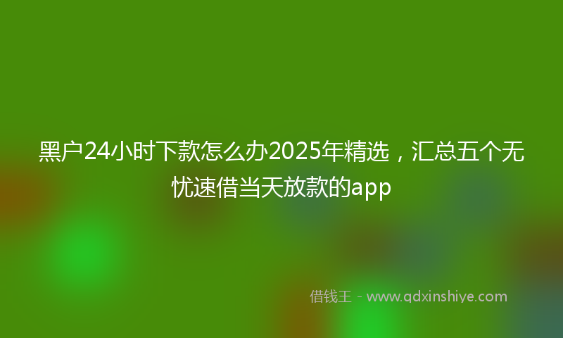 黑户24小时下款怎么办2025年精选，汇总五个无忧速借当天放款的app