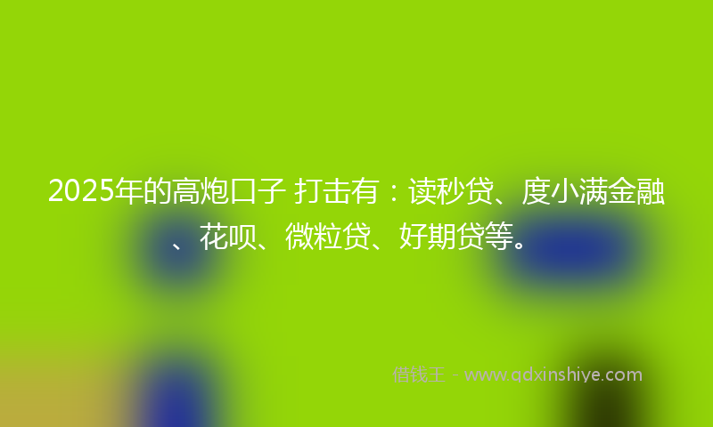 2025年的高炮口子 打击有：读秒贷、度小满金融、花呗、微粒贷、好期贷等。
