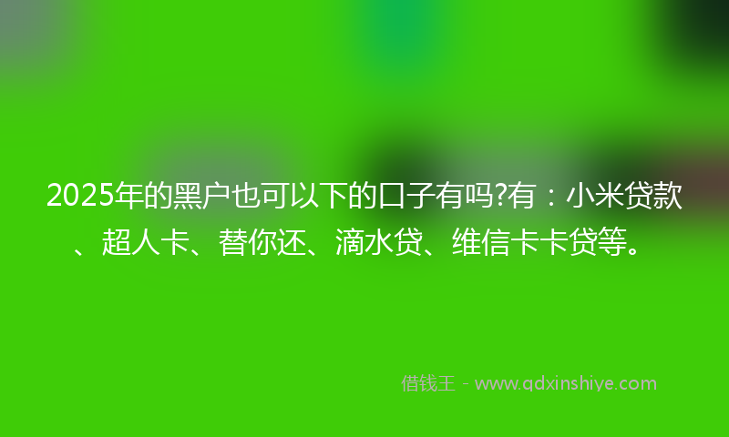 2025年的黑户也可以下的口子有吗?有：小米贷款、超人卡、替你还、滴水贷、维信卡卡贷等。