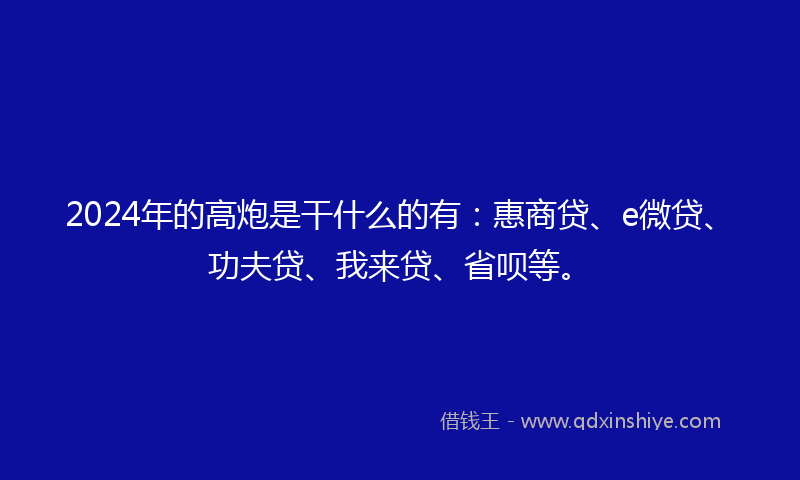2024年的高炮是干什么的有：惠商贷、e微贷、功夫贷、我来贷、省呗等。