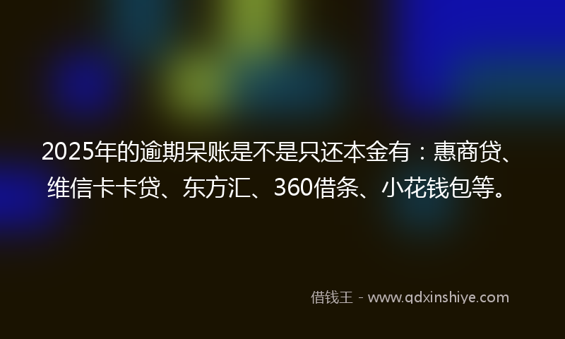 2025年的逾期呆账是不是只还本金有：惠商贷、维信卡卡贷、东方汇、360借条、小花钱包等。
