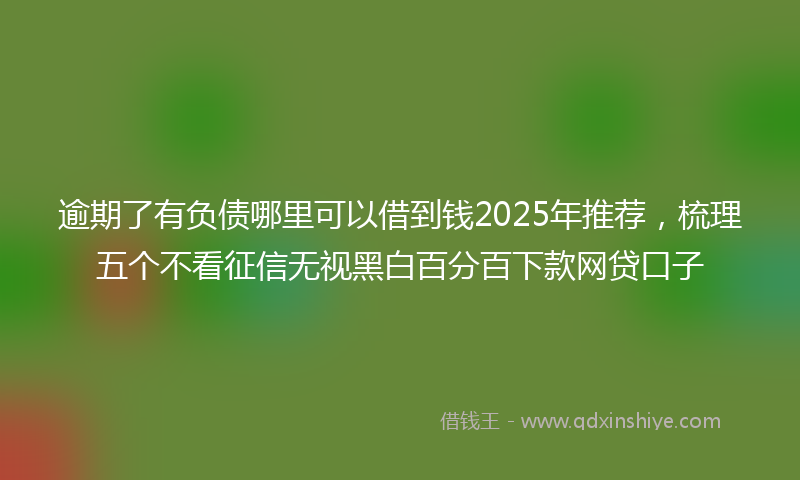 逾期了有负债哪里可以借到钱2025年推荐，梳理五个不看征信无视黑白百分百下款网贷口子