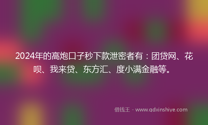 2024年的高炮口子秒下款泄密者有：团贷网、花呗、我来贷、东方汇、度小满金融等。