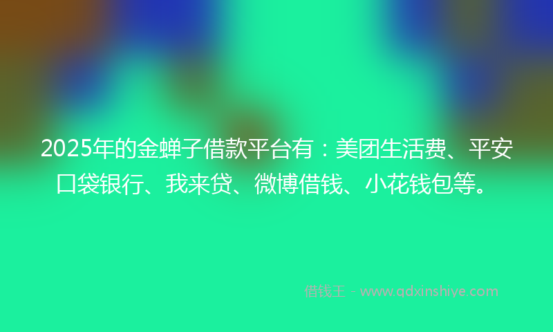 2025年的金蝉子借款平台有：美团生活费、平安口袋银行、我来贷、微博借钱、小花钱包等。