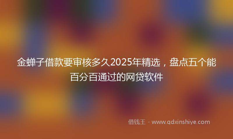 金蝉子借款要审核多久2025年精选，盘点五个能百分百通过的网贷软件