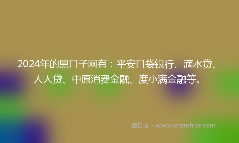 2024年的黑口子网有：平安口袋银行、滴水贷、人人贷、中原消费金融、度小满金融等。
