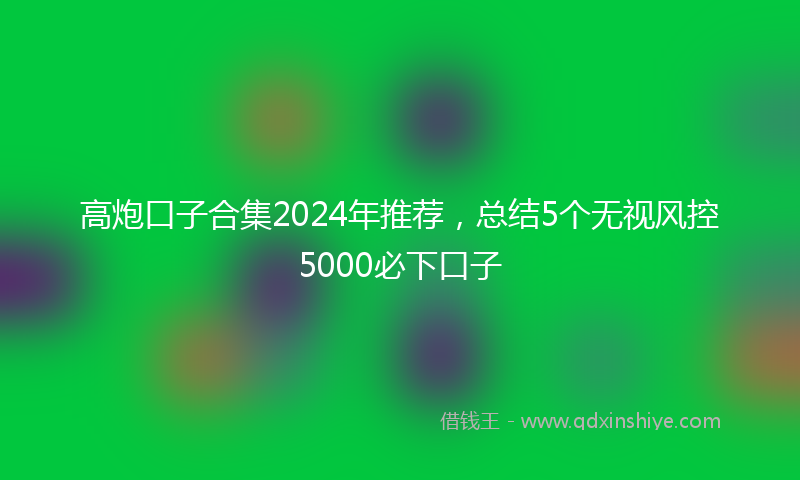 高炮口子合集2024年推荐，总结5个无视风控5000必下口子