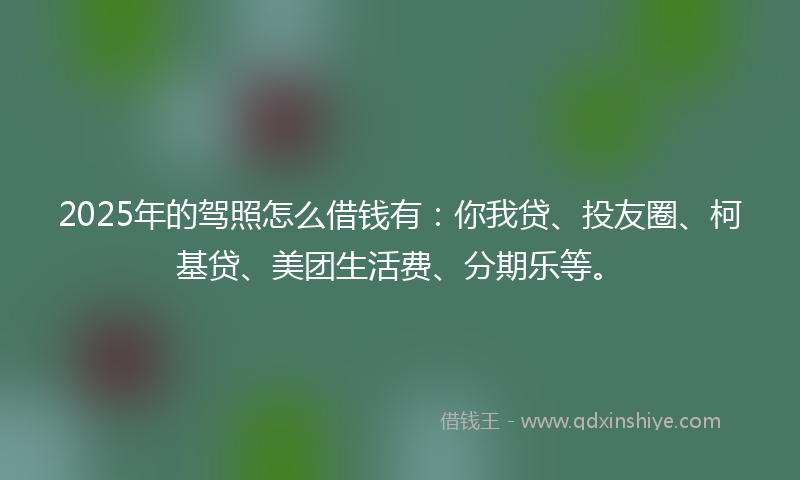 2025年的驾照怎么借钱有：你我贷、投友圈、柯基贷、美团生活费、分期乐等。
