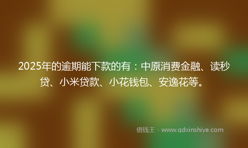 2025年的逾期能下款的有：中原消费金融、读秒贷、小米贷款、小花钱包、安逸花等。