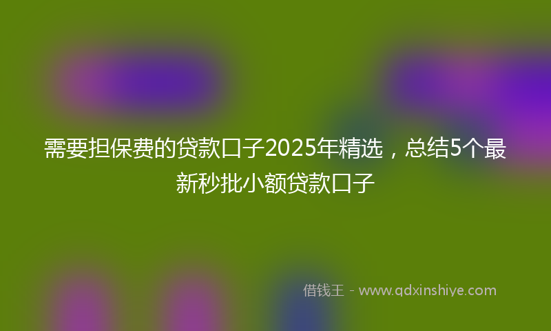 需要担保费的贷款口子2025年精选，总结5个最新秒批小额贷款口子