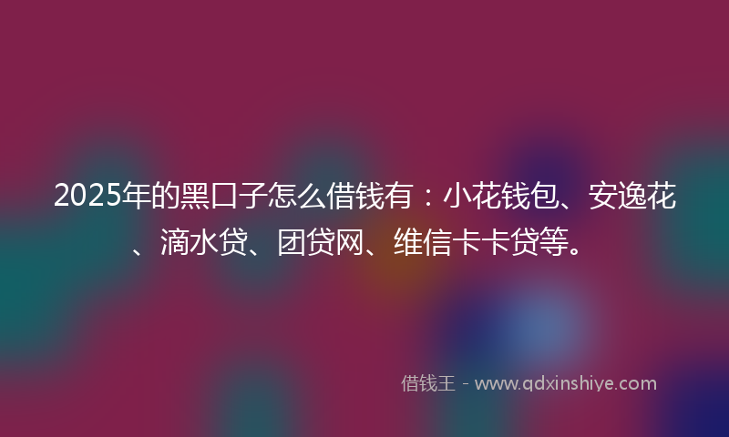2025年的黑口子怎么借钱有：小花钱包、安逸花、滴水贷、团贷网、维信卡卡贷等。