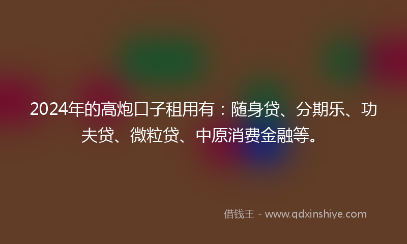 2024年的高炮口子租用有：随身贷、分期乐、功夫贷、微粒贷、中原消费金融等。