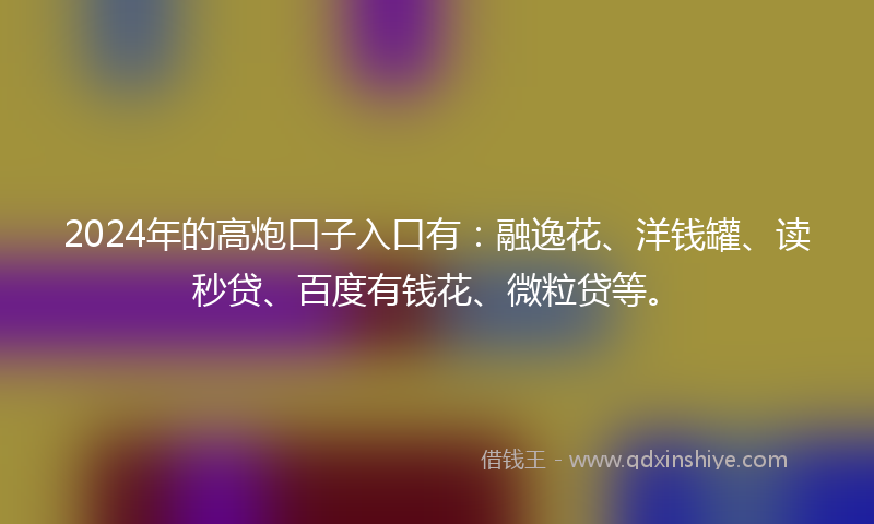2024年的高炮口子入口有：融逸花、洋钱罐、读秒贷、百度有钱花、微粒贷等。