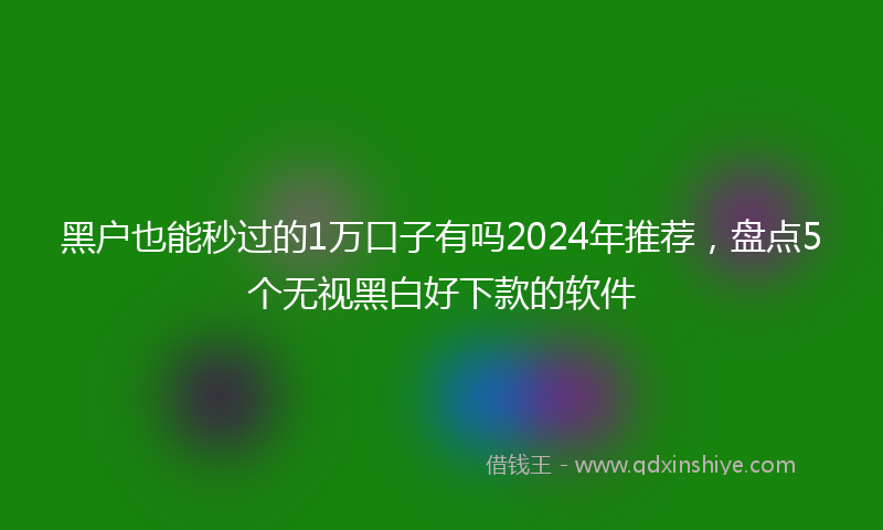 黑户也能秒过的1万口子有吗2024年推荐，盘点5个无视黑白好下款的软件
