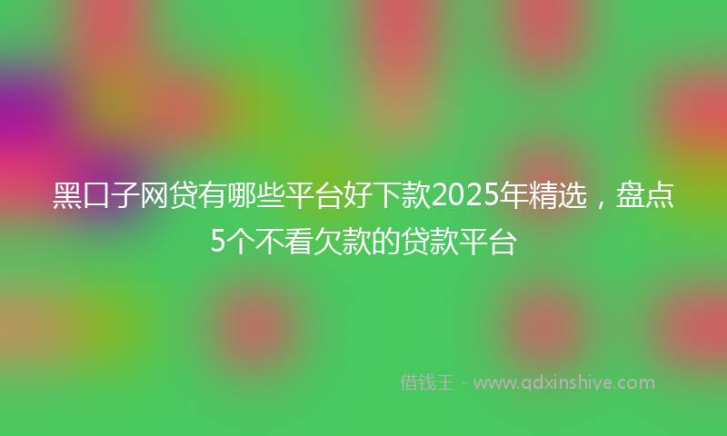 黑口子网贷有哪些平台好下款2025年精选，盘点5个不看欠款的贷款平台
