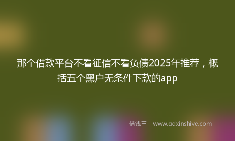 那个借款平台不看征信不看负债2025年推荐，概括五个黑户无条件下款的app