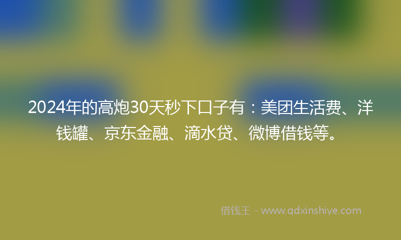 2024年的高炮30天秒下口子有：美团生活费、洋钱罐、京东金融、滴水贷、微博借钱等。