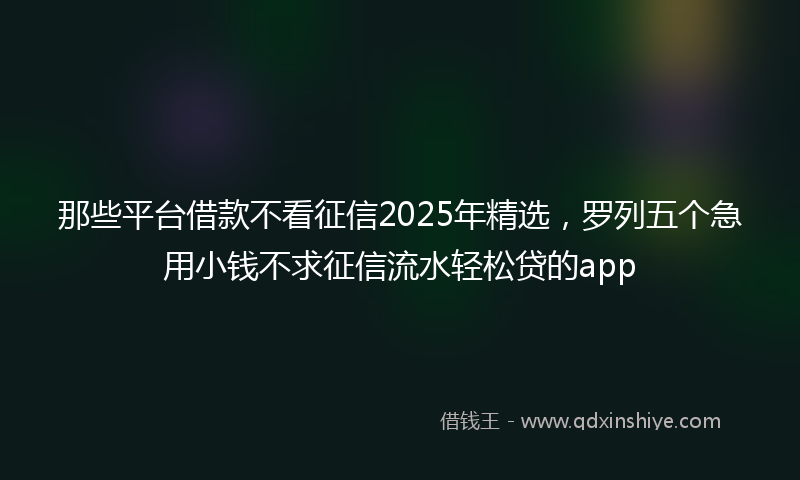 那些平台借款不看征信2025年精选，罗列五个急用小钱不求征信流水轻松贷的app