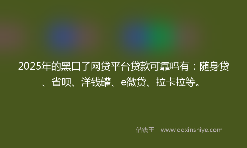 2025年的黑口子网贷平台贷款可靠吗有：随身贷、省呗、洋钱罐、e微贷、拉卡拉等。