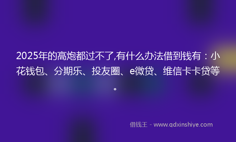 2025年的高炮都过不了,有什么办法借到钱有：小花钱包、分期乐、投友圈、e微贷、维信卡卡贷等。